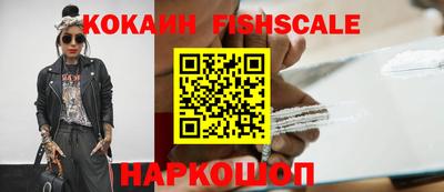 крисы Аргун