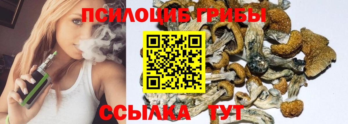 Псилоцибиновые грибы Psilocybe  Вход с VPN  где найти наркотики  Белогорск 