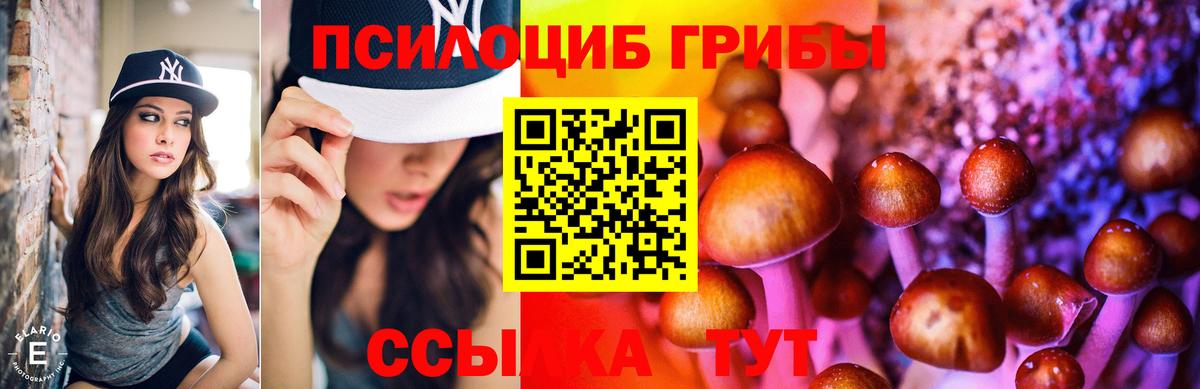 Галлюциногенные грибы мухоморы Белогорск